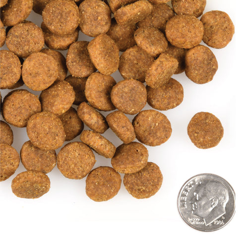 Fromm Heartland Gold Large Breed Adult Dry Dog Food - Beef & Pork - 12lb Bag